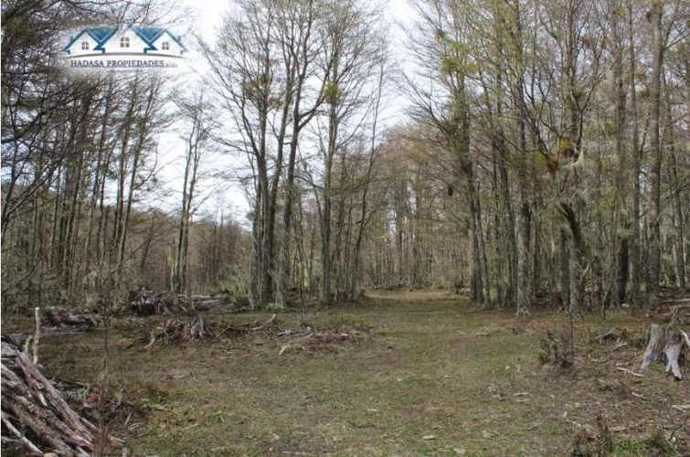 PARCELA SECTOR LA COORDONADA