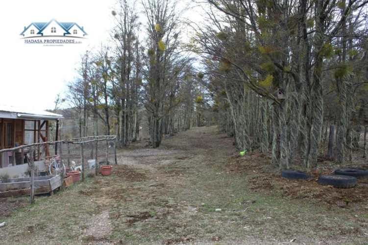 PARCELA SECTOR LA COORDONADA