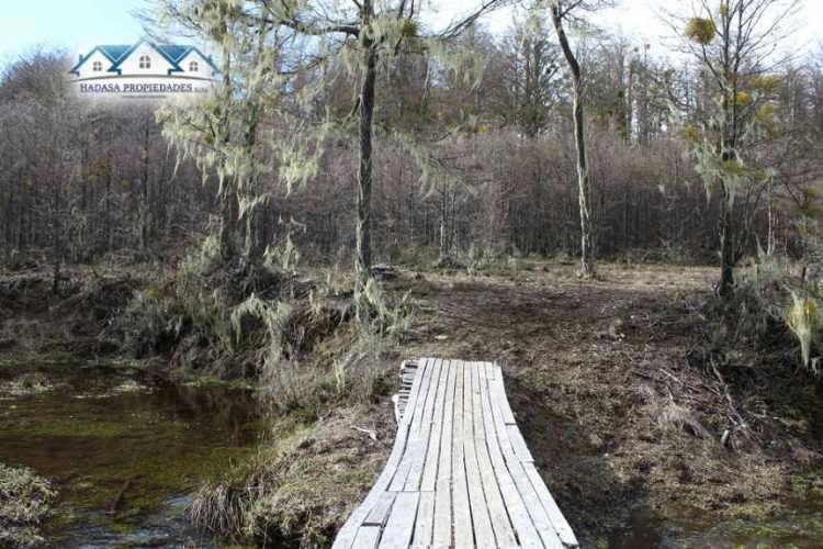 PARCELA SECTOR LA COORDONADA