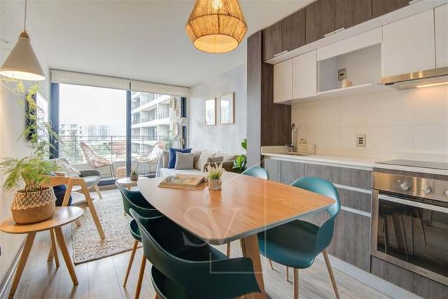 DEPARTAMENTO Manuel Montt con Santa Isabel