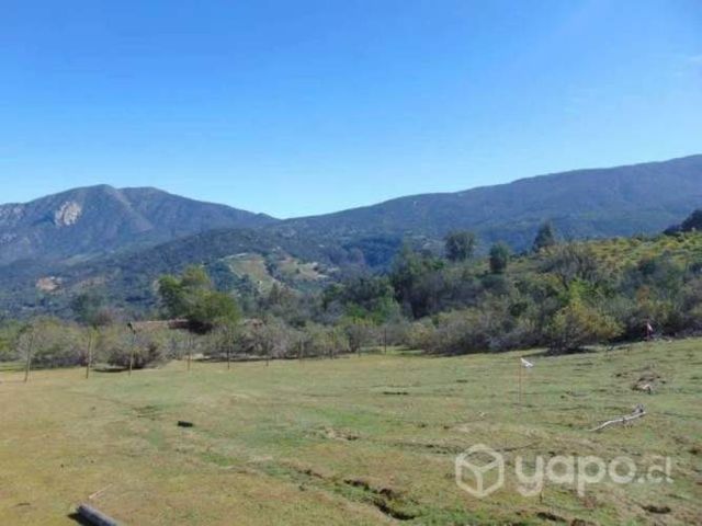 Parcela 35.000 m2, Las Palmas de Alvarado, Olmué