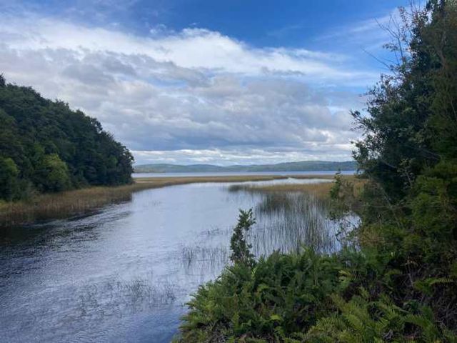 PARCELA Oportunidad. Lindo terreno de 26 hect en Chiloé. A un km de Lago Tepuhueico.