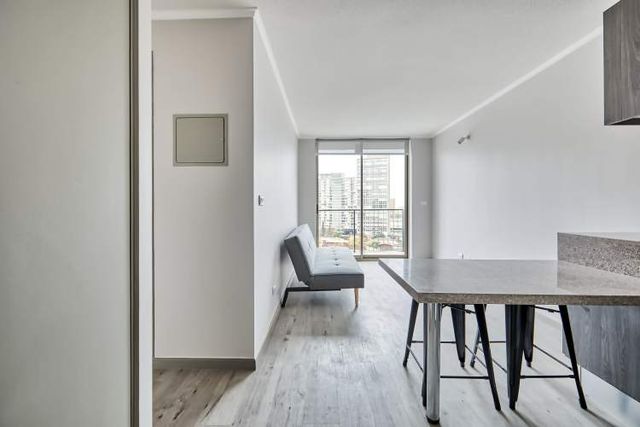 Vicuña Urban [1322-16]