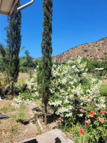 PARCELA Rinconada del Principal