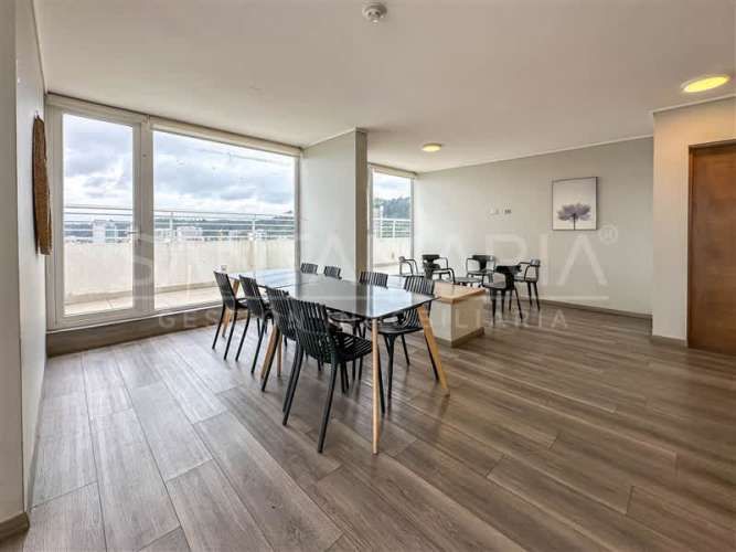 DEPARTAMENTO Salas, Concepción