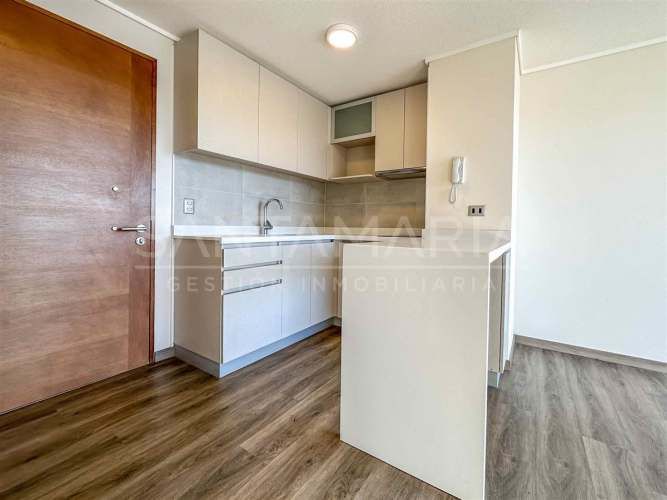 DEPARTAMENTO Salas, Concepción