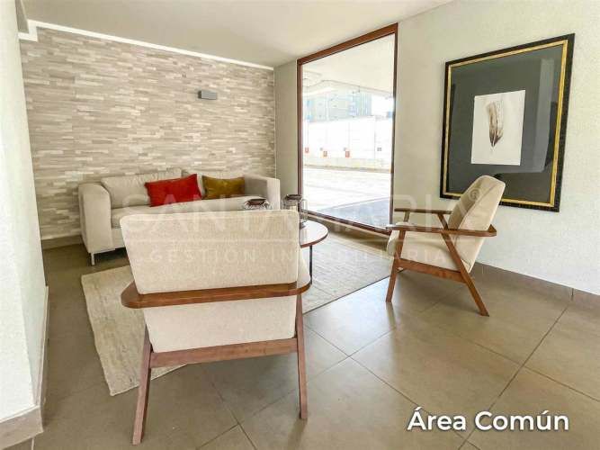 DEPARTAMENTO Salas, Concepción