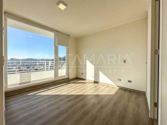 DEPARTAMENTO Salas, Concepción