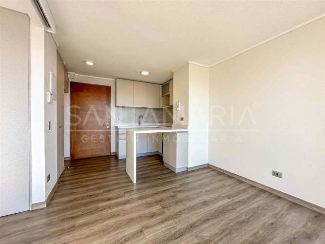 DEPARTAMENTO Salas, Concepción