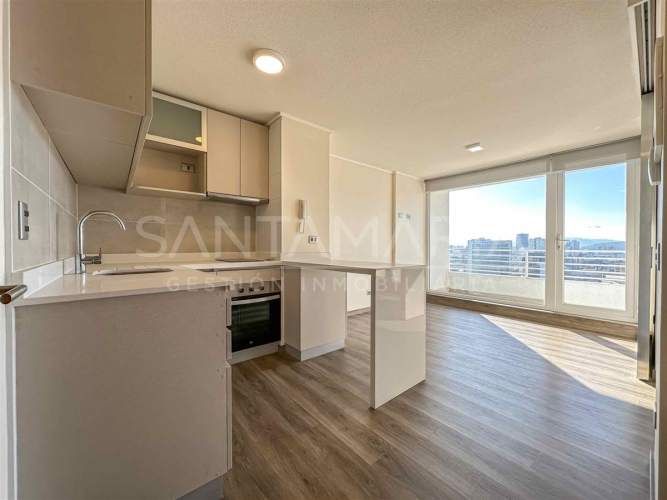 DEPARTAMENTO Salas, Concepción