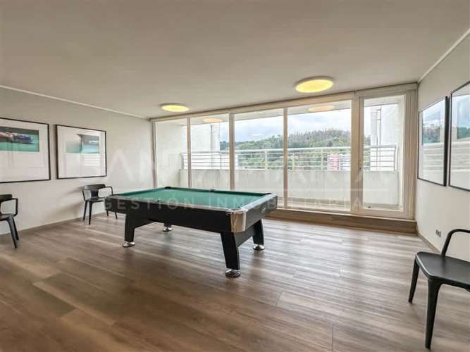 DEPARTAMENTO Salas, Concepción