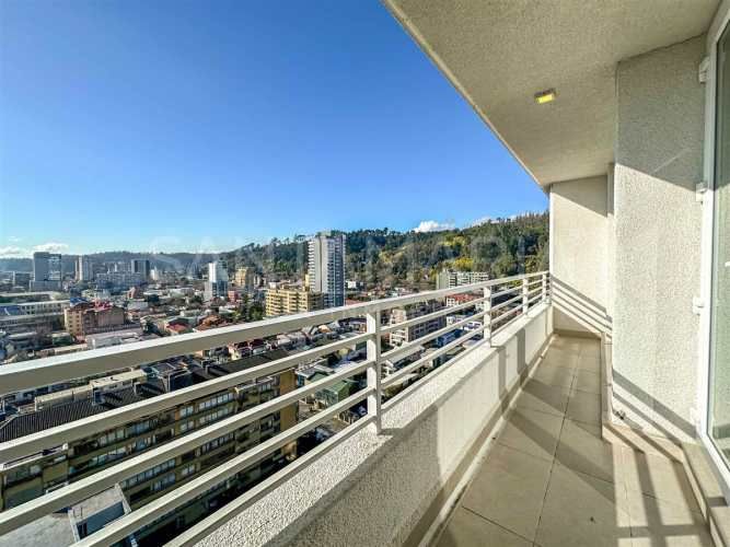 DEPARTAMENTO Salas, Concepción