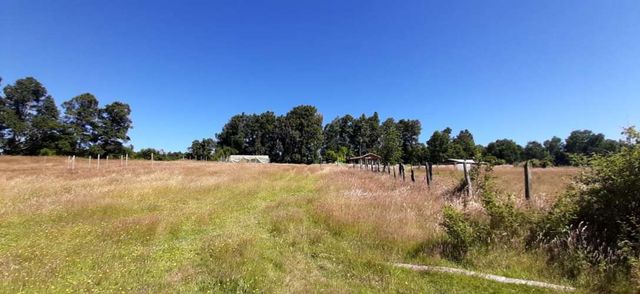 A 14 Kmtr. De Panguipulli Camino a los Tallos Altos