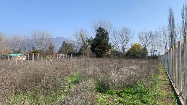 ARRIENDA, PAINE, TERRENO 2.500 M2, COLONIA KENNEDY