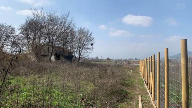 ARRIENDA, PAINE, TERRENO 2.500 M2, COLONIA KENNEDY