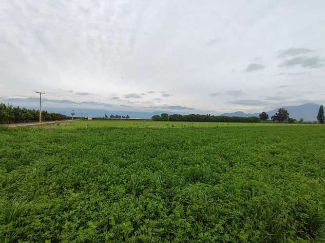 ¡GRAN OPORTUNIDAD: HERMOSAS PARCELAS EN VENTA EN PAINE!