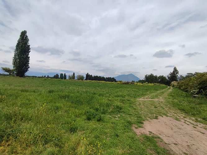 ¡GRAN OPORTUNIDAD: HERMOSAS PARCELAS EN VENTA EN PAINE!