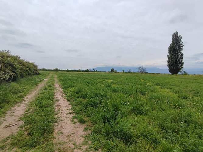 ¡GRAN OPORTUNIDAD: HERMOSAS PARCELAS EN VENTA EN PAINE!