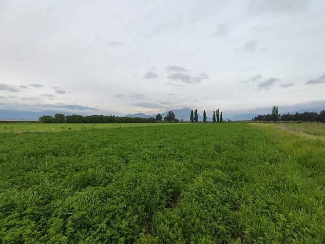 ¡GRAN OPORTUNIDAD: HERMOSAS PARCELAS EN VENTA EN PAINE!