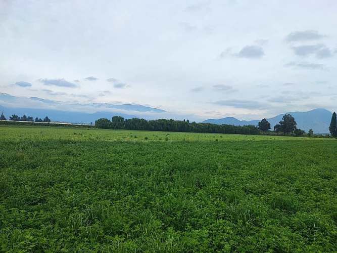 ¡GRAN OPORTUNIDAD: HERMOSAS PARCELAS EN VENTA EN PAINE!