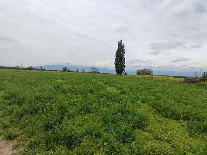 ¡GRAN OPORTUNIDAD: HERMOSAS PARCELAS EN VENTA EN PAINE!