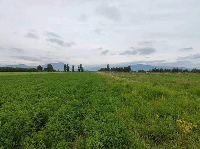 ¡GRAN OPORTUNIDAD: HERMOSAS PARCELAS EN VENTA EN PAINE!