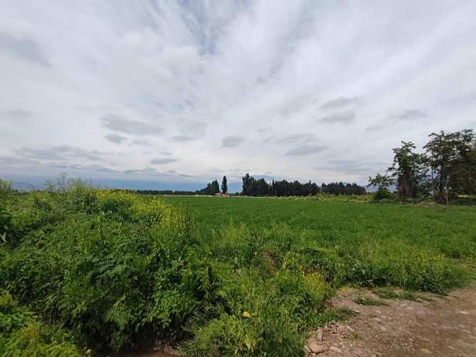 ¡GRAN OPORTUNIDAD: HERMOSAS PARCELAS EN VENTA EN PAINE!