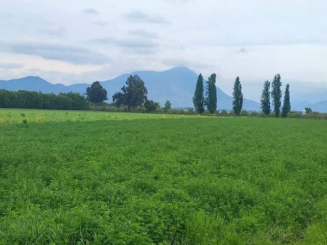 ¡GRAN OPORTUNIDAD: HERMOSAS PARCELAS EN VENTA EN PAINE!