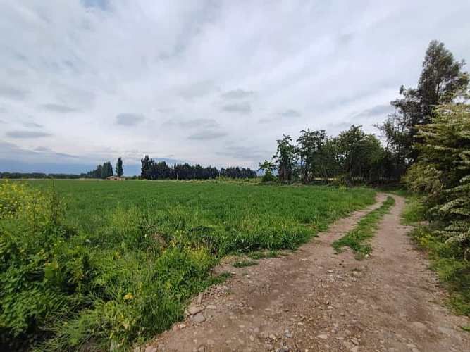 ¡GRAN OPORTUNIDAD: HERMOSAS PARCELAS EN VENTA EN PAINE!