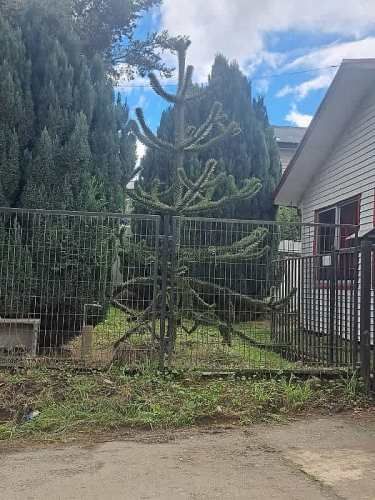 A 50 METROS DE CENTRO COMERCIAL NAUDUMAR