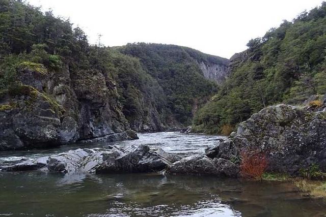ORILLA RÍO CISNES 10,62 HA