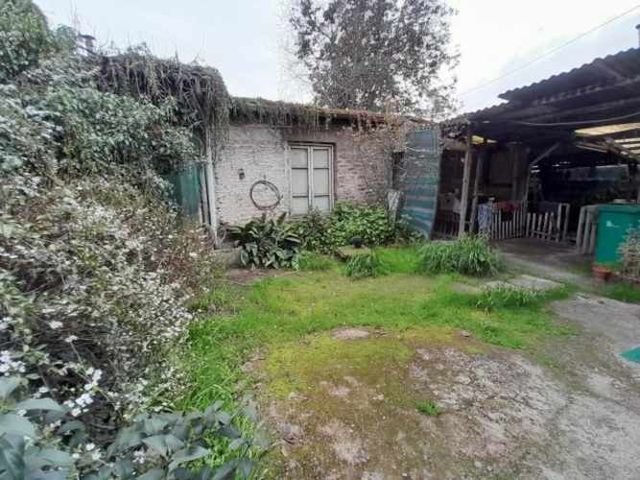 CASA Madame Bolland/Dos Oriente