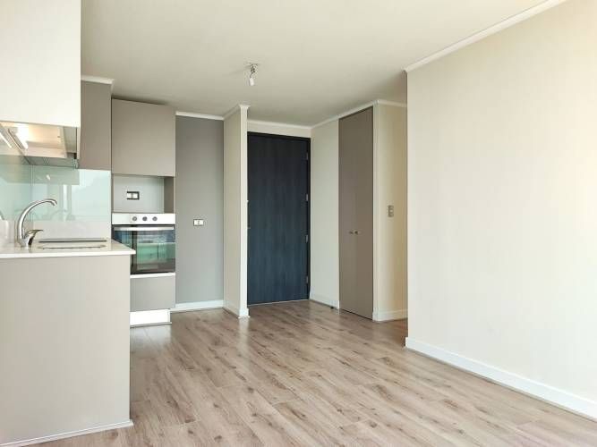 Carrión 1507 [1481-3]