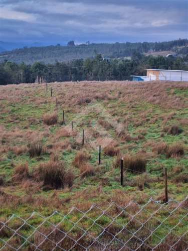 PARCELA Terrazas de Neo alerce