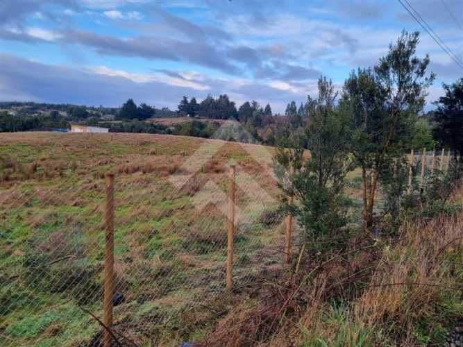 PARCELA Terrazas de Neo alerce