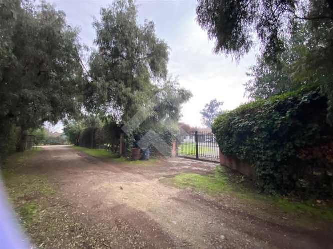 CASA Viña de Martino