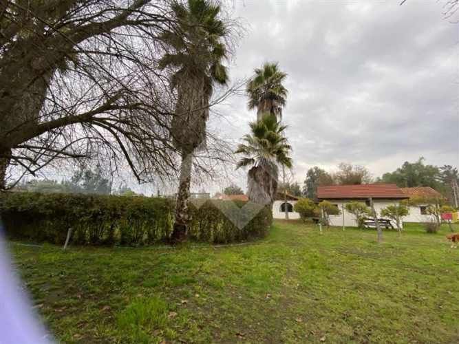 CASA Viña de Martino