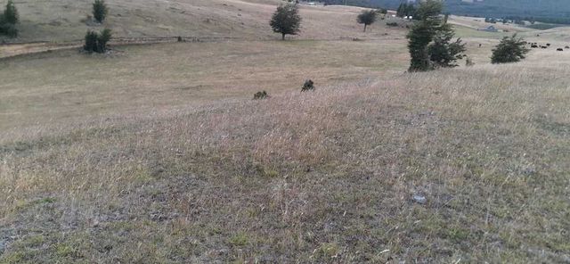TERRENO CERRO LA VIRGEN