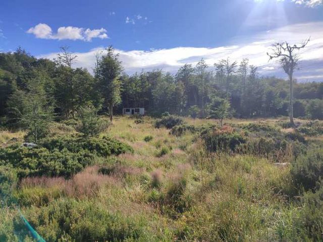 TERRENO 3 has. SECTOR LAGO CASTOR