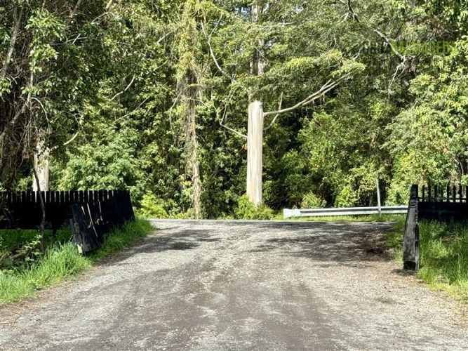 PARCELA Cercano a Cascadas