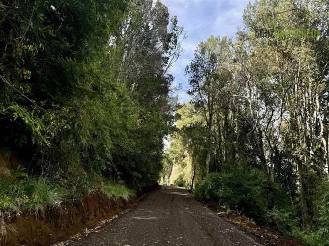 PARCELA Cercano a Cascadas