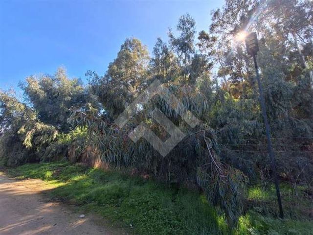 PARCELA El manzano Carampangue