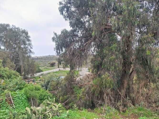 TERRENO CONSTRUCCION Diego de Almagro avenida Francisco de Aguirre