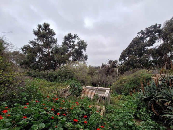 TERRENO CONSTRUCCION Diego de Almagro avenida Francisco de Aguirre