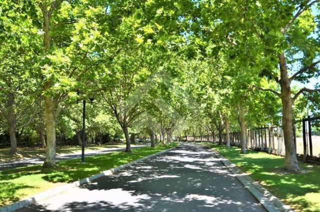 SITIO LAS BRISAS DE CHICUREO COLINA