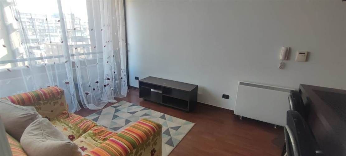 DEPARTAMENTO Excelente Dpto. Bellas Artes