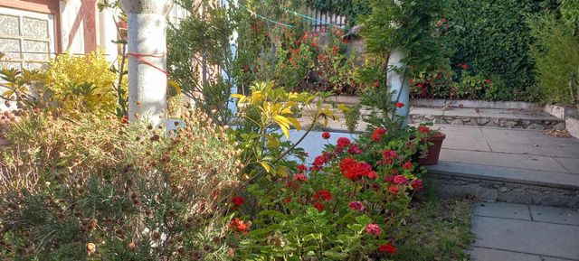 Casa Covadonga, Quilpué