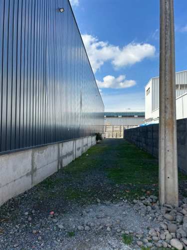 BODEGA San Eugenio / Santo Tomás/
