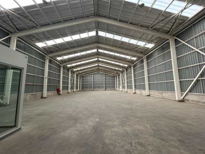 BODEGA San Eugenio / Santo Tomás/