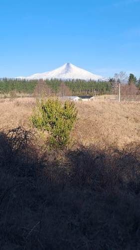 VENTA PARCELA 5000 m2, ROL PROPIO, PEDREGOSO, VILLARRICA